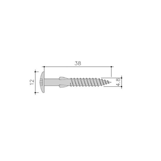 Picture of siding Screw Torx+Vlgls 100St 4,8x38 Rvs C58 Olive Green