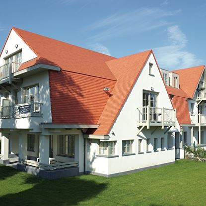 Afbeeldingen van Koramic Tegelpan 301 Natuurrood