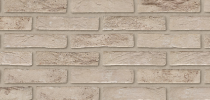 Afbeeldingen van Wienerberger Prata Genuanceerd WFD 210x100x65mm Lotkeuze