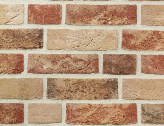 Image de Wienerberger Aurora Mélange Rood WFD 210x100x65mm Lotkeuze