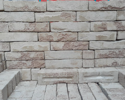 Afbeeldingen van Wienerberger Eco WF Prata Genuanceerd Lot